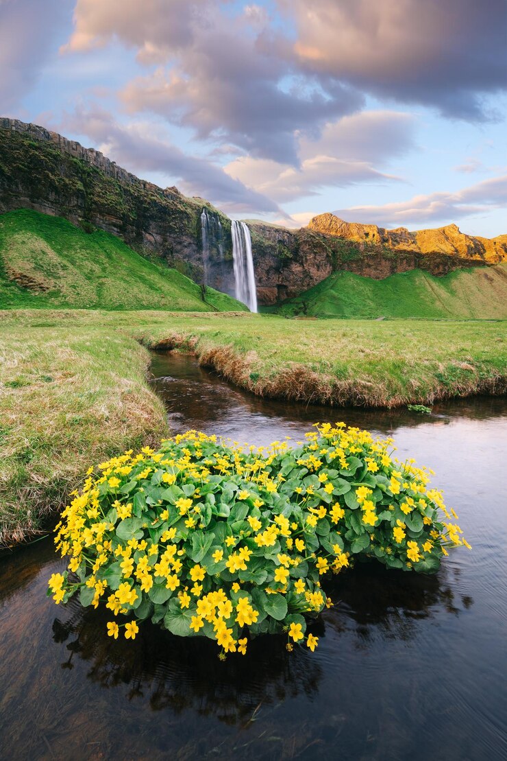 Foto vista da cachoeira seljalandsfoss islândia