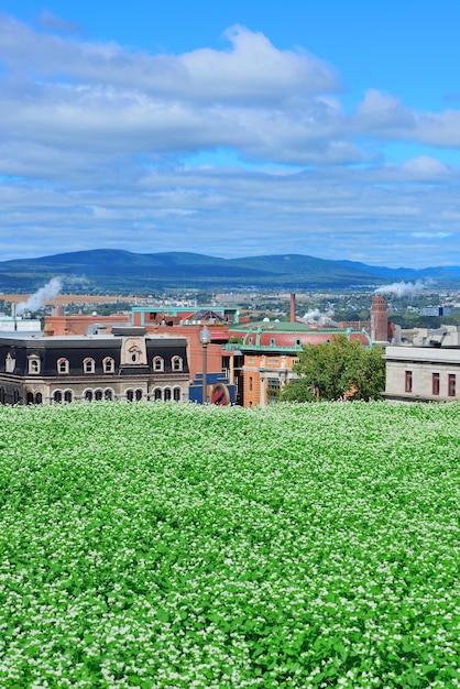 Vista da cidade de Quebec durante o dia com gramado verde e edifícios urbanos