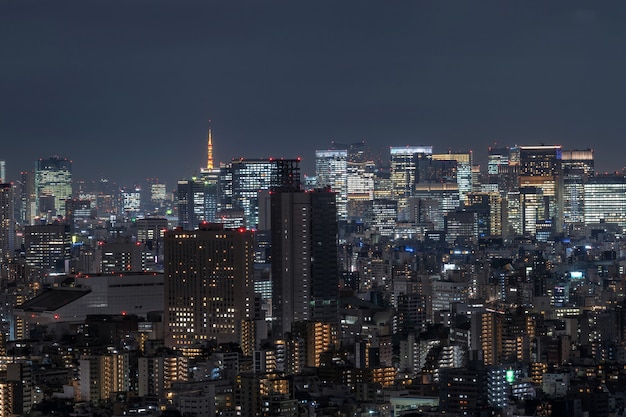 Vista da cidade de Tóquio, que pode ver a torre de Tóquio, longe, tomando do céu de tokyo árvore leste, Japão