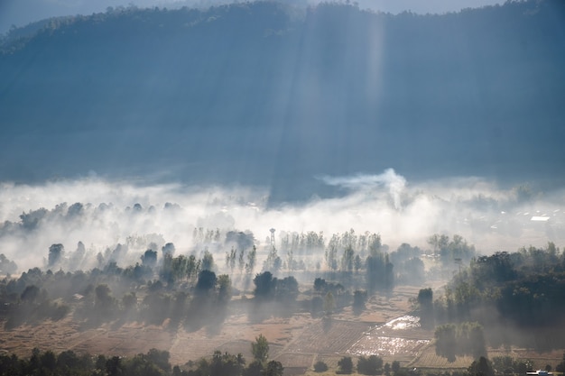 Vista da cidade e da floresta coberta de névoa