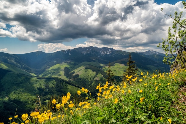 Vista da colina Ohniste nas montanhas Low Tatras Eslováquia