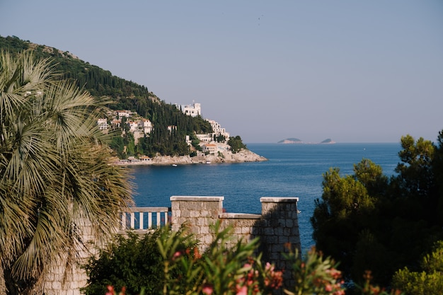 Vista da costa de Dubrovnik em uma vila à beira-mar e ilhas no mar Adriático por entre palmeiras