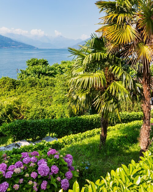 Foto vista da costa de verão do lago de como com arbustos floridos e palmeiras em frente, itália