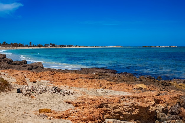 Vista da costa do Mediterrâneo com uma praia de areia branca e uma palmeira verde na Ilha de Djerba, Tunísia