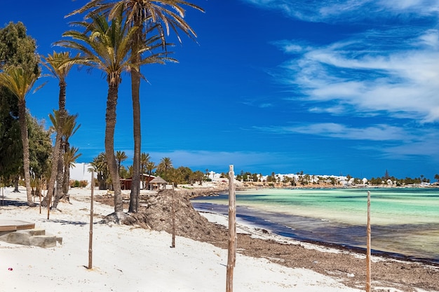 Vista da costa do Mediterrâneo com uma praia de areia branca e uma palmeira verde na Ilha de Djerba, Tunísia