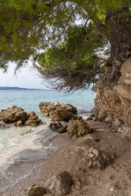 Vista da costa para o Mar Adriático turquesa através de um pinheiro Duas pedras na água Um navio navega ao longe Altas montanhas no horizonte Makarska Riviera Dalmácia Croácia