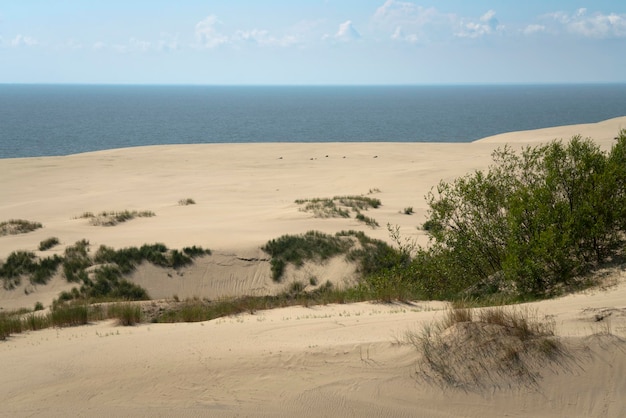 Vista da duna de Staroderevenskaya do alto de Efa Walnut Dune e o Mar Báltico ao fundo em um dia ensolarado de verão Curonian Spit Kaliningrad region Rússia