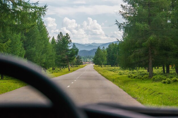 Vista da estrada através dos olhos do motorista do carro. dirigindo na rodovia na floresta entre as árvores verdes