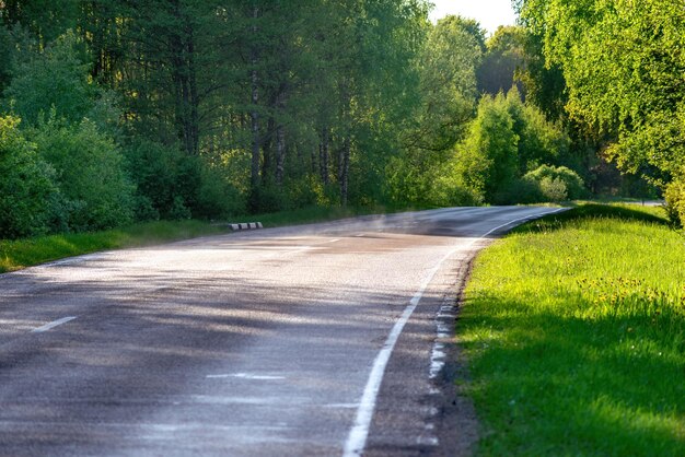 Vista da estrada de asfalto curva na primavera na natureza Tempo de flor no parque natural Rodovia vazia