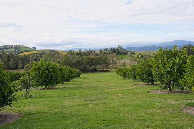 Vista da fazenda desde a fazenda