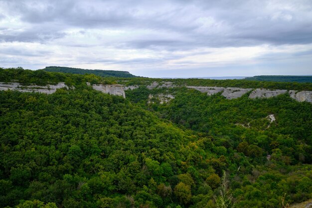 vista da floresta nas montanhas