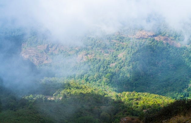 vista da floresta tropical, Inthanon National Park, Tailândia