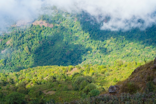 vista da floresta tropical, Inthanon National Park, Tailândia