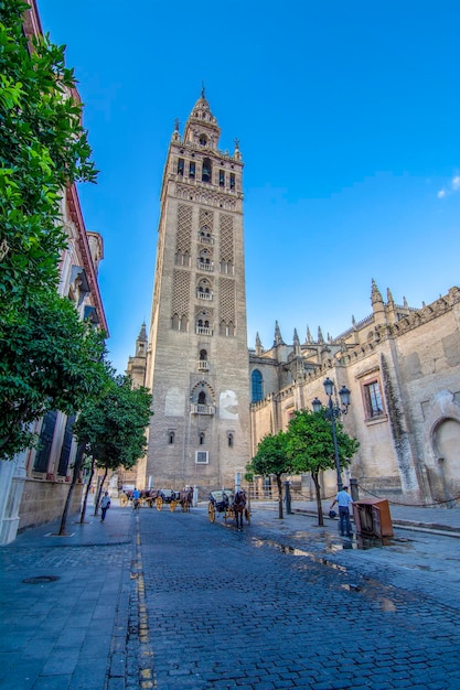 Vista da Giralda a torre do sino da Catedral de Sevilha