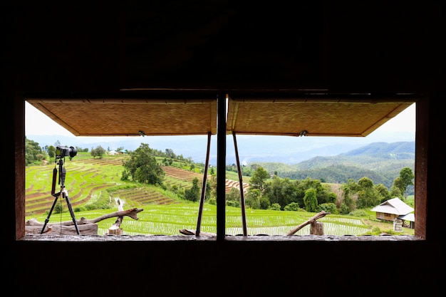 Vista da janela no campo da planta de almofada da paisagem com montanha e céu.