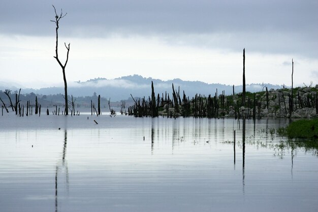 vista da manhã no lago