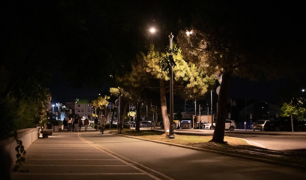 Vista da moderna passarela noturna da rua da cidade iluminada por lanternas calçada para caminhadas