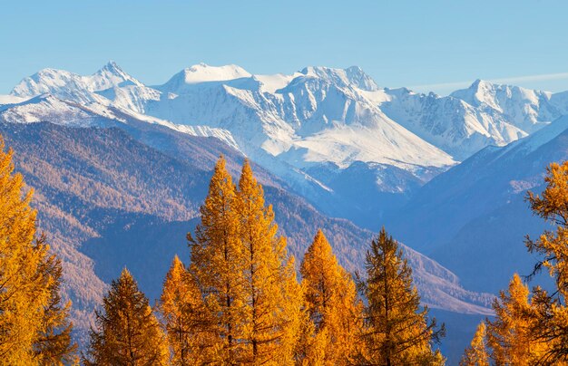 Foto vista da montanha belukha, o pico principal de altai, viajando nas montanhas subindo