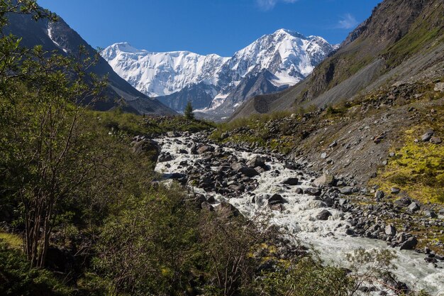 Foto vista da montanha belukha rio akkem vale da montanha montanhas altai rússia