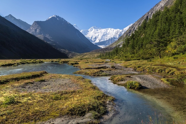 Foto vista da montanha belukha rio akkem vale da montanha montanhas altai rússia