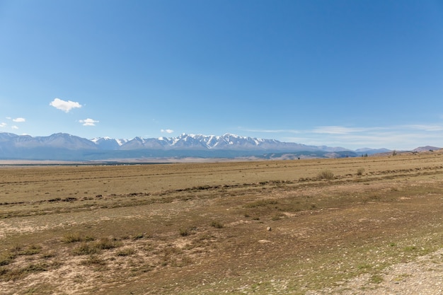 Vista da montanha Belukha. Rússia. Montanhas nevadas de Altai