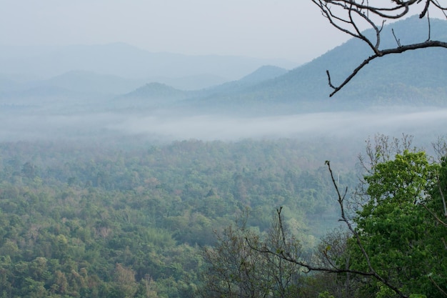 vista da montanha do parque nacional de Mae wong com sapo