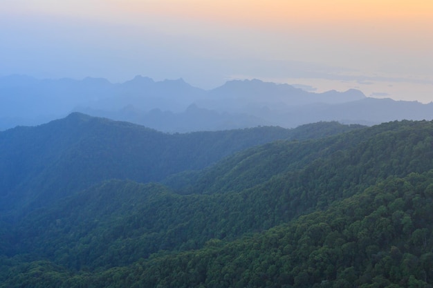 vista da montanha e da floresta Belo nascer do sol nas montanhas da manhã nublada