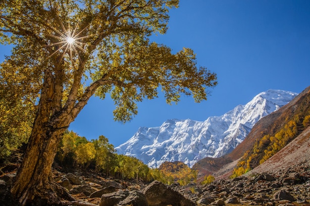 Vista da montanha Nanga Parbat, foto tirada a caminho do Nanga Parbat Base Camp, Paquistão