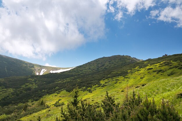 Vista da montanha no verão com grupo de pedras no cume