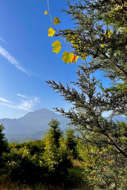 vista da montanha Tahtali, na Turquia