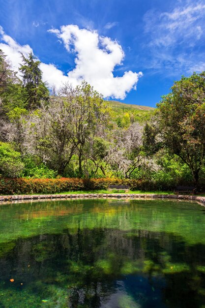 Vista da natureza da piscina mineral verde