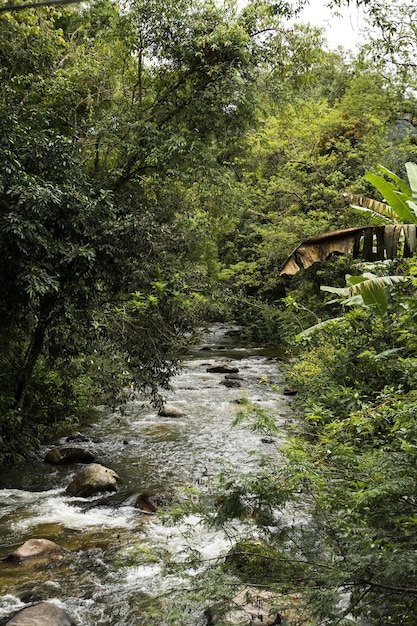 Vista da natureza em sana, macaãƒâ ©, regiã £ o serrana do rio de janeiro. foto do rio com corredeiras das cachoeiras da cidade.