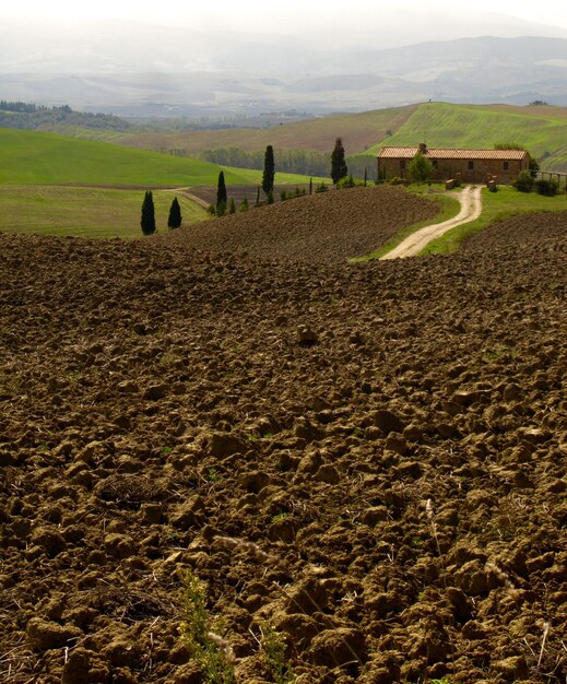 Foto vista da paisagem agrícola