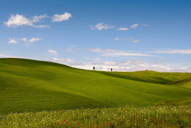 Vista da paisagem campestre da Toscana