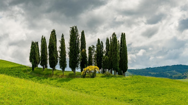 Vista da paisagem campestre da toscana