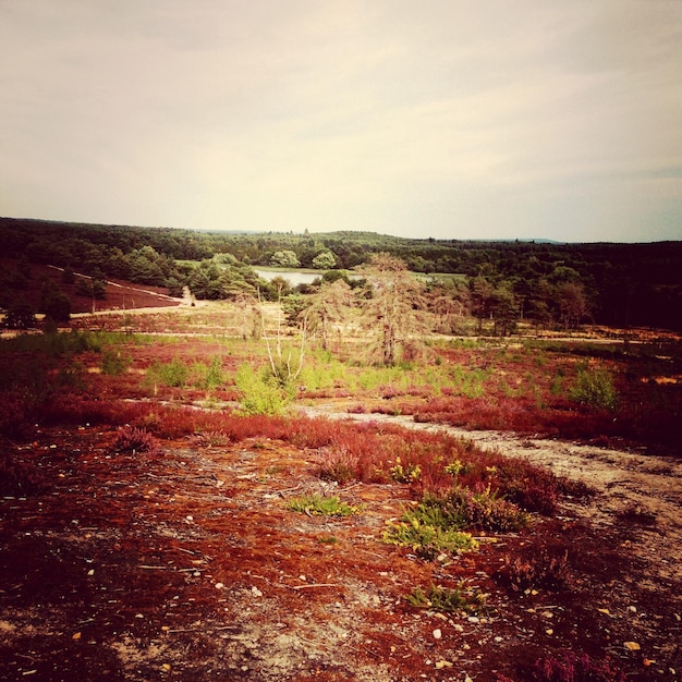 Vista da paisagem contra o céu