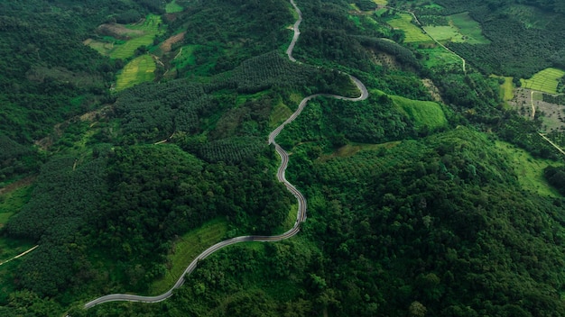 Vista da paisagem da estrada de curva longa No1081, também conhecida como estrada do céu, é uma longa estrada atrás da montanha bonita na última estação chuvosa e no início do inverno da província de nan tailândia