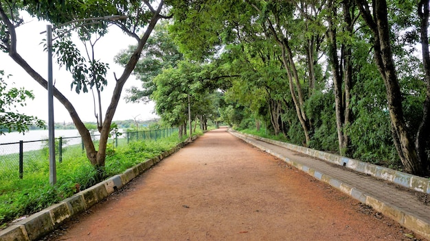 Vista da paisagem da pista de caminhada do lago Agara Lago bem conservado