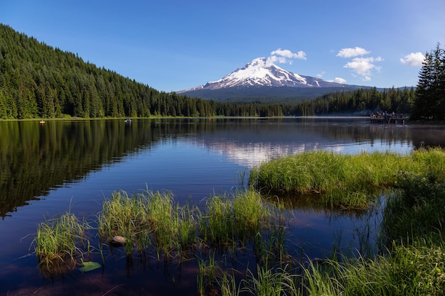 Vista da paisagem de um lago com Mt Hood ao fundo durante um dia ensolarado de verão