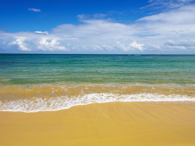 Foto vista da paisagem de uma praia tropical ao sol em um dia ensolarado