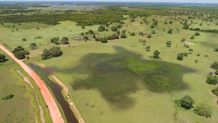 Foto vista da paisagem em alto ângulo