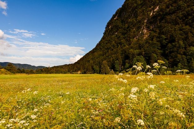 Vista da paisagem eslovena, eslovênia