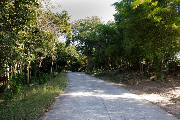 Foto vista da paisagem floresta selva e rua estrada para o povo tailandês viajantes viagem visita descanso relaxar no topo da montanha khao phraya doen thong ponto de vista na cidade de phatthana nikhom em lopburi tailândia