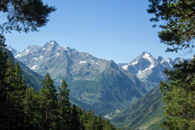 Vista da paisagem montanhosa com florestas de coníferas, geleiras e picos montanhosos