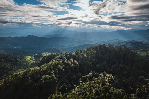 Vista da paisagem na colina verde alta