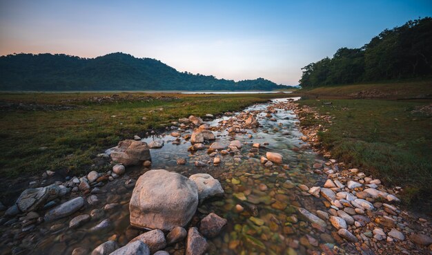 Foto vista da paisagem natural do riacho de água doce com o fundo da montanha e da floresta