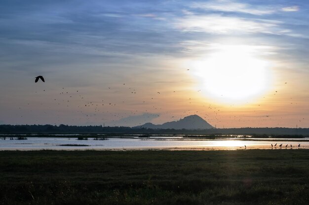 Vista da paisagem no lago e na montanha