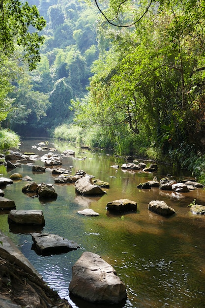 Vista da pedra no riacho