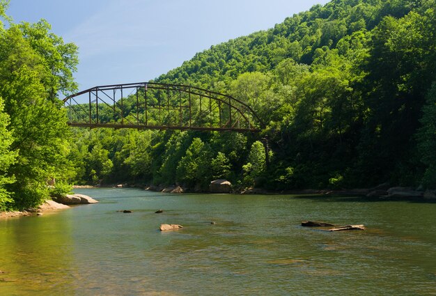 Vista da ponte de Jenkinsburg sobre o Cheat River