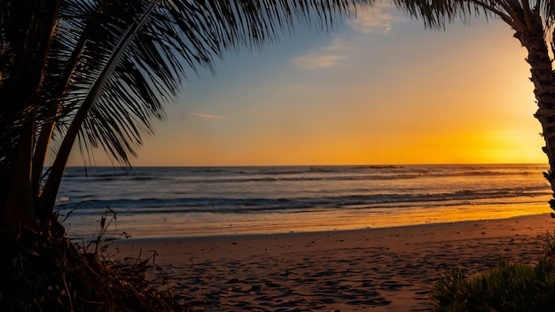 Foto vista da praia com pôr-do-sol e palmeiras